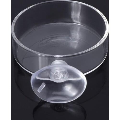 New Arrival Fish Tank Feeder Aquarium Shrimp Glass Feeding Bowl Clear Dish Tray