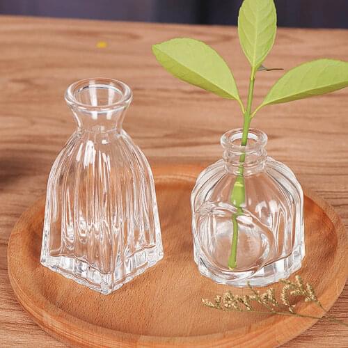 Mini Creative Desktop Simple Vase Decoration Green Dill Hydroponic Plant Bottle