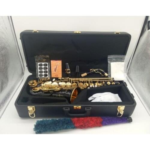 Alto Saxophone black gold key and hard box