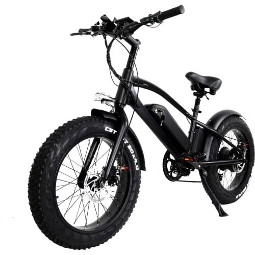 750W Motor Powerful Electric Bike 10AH Lithium Battery 20inch Fat Tire Electric Bicycle Ebike 45km/h