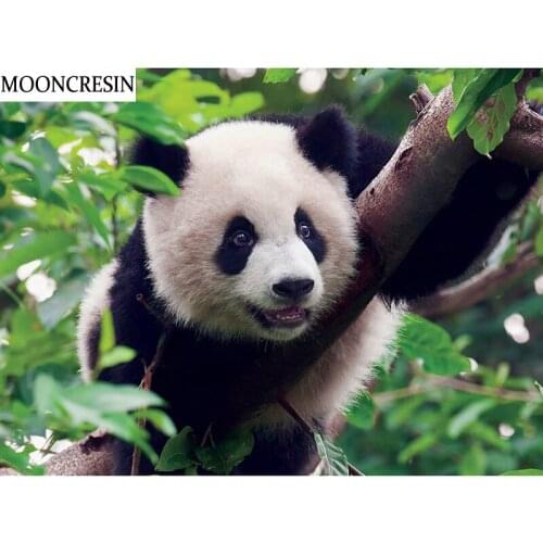 5D Diamond Painting Full Square Panda Cross Stitch Diamond Embroidery Mosaic Painting By Numbers New Year Christmas Decoration