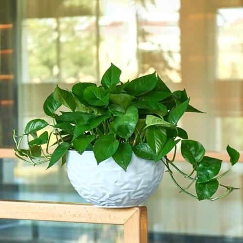Monokweepjy Pots