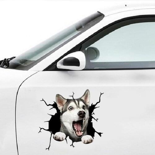 6Pcs Funny Dog Head Crack PVC Car Stickers Removable Auto Window Decorative Decals Personality Fashion Car Accessories Styling