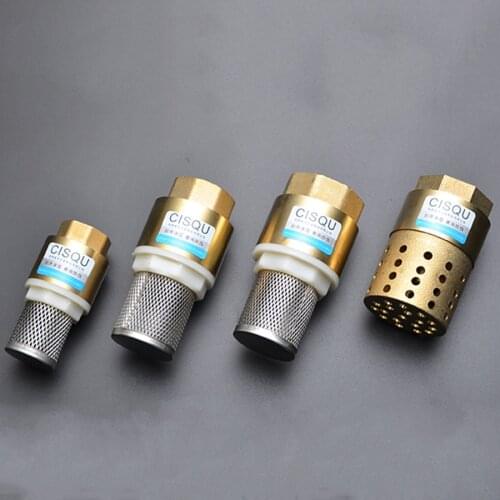 1/2" 3/4" 1" 1-1/2" 2" BSPP Brass One Way Female Thread Foot Valve Mesh Check Valve with Holes Strainer Filter DN25 Screw Thread