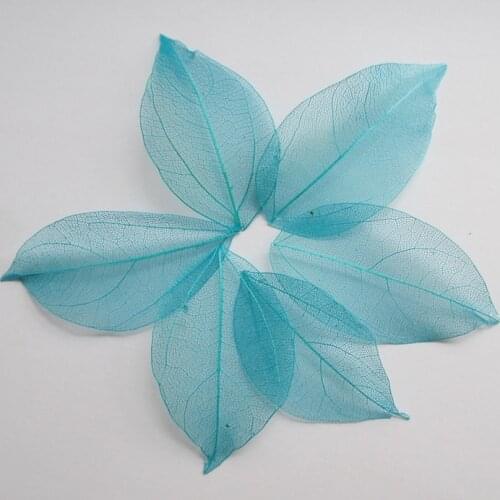 Free shipping Wholesale 100pcs blue color Natural skeleton leaves for DIY 3-7cm 014005010