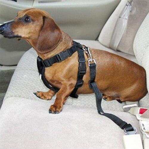 Dog Hauling Cable Pets Car Seat Belts Retractable Adjustable Safety Rope Pet Leash Vehicle Safety Belt Puppy Products 67.5cm 1PC