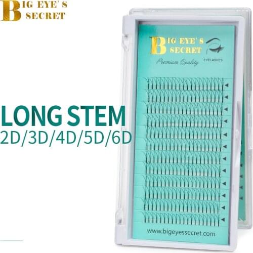 Big eyes secret 2D 3D 4D 5D 6D Silk Lashes Pre fanned Premade Volume Lashes Fans ffalse eyelashes eyelash extension