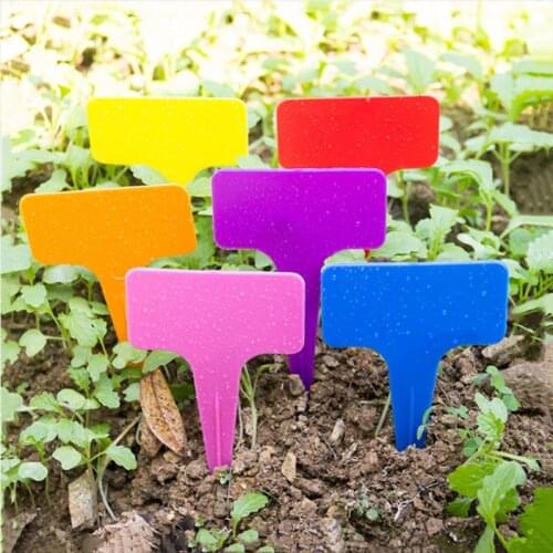100pcs Plant Tag t-Type Plastic Colorful Plant Nursery Garden Seedling Thick Markers Waterproof Soil Plug In Writing Board Card