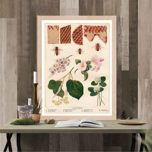 Vintage Bee With Honeycomb Print Nature Educational Poster Family Kindergarten Nursery Wall Art Decor Canvas Painting Decoration