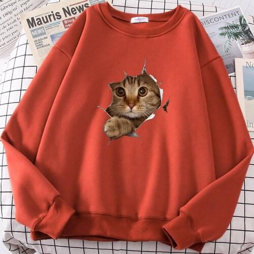 Cute Voyeur Cat Cartoons Print Hoodies Female Autumn Fleece Hoody Pattern Pullover Sweatshirt Street Loose Clothes Women Warm