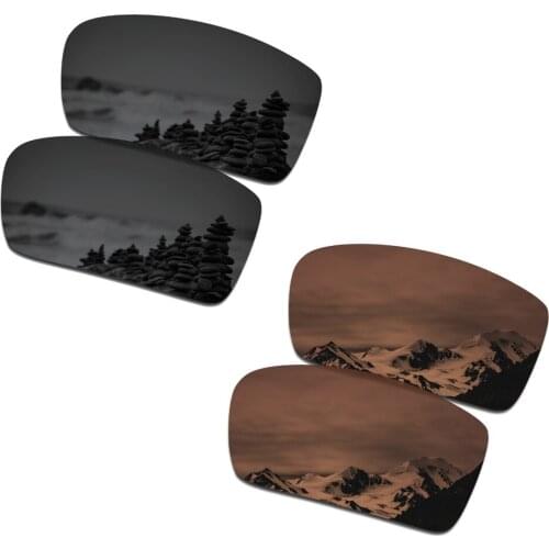 SmartVLT 2 Pairs Polarized Sunglasses Replacement Lenses for Oakley Crankshaft Stealth Black and Amber Brown