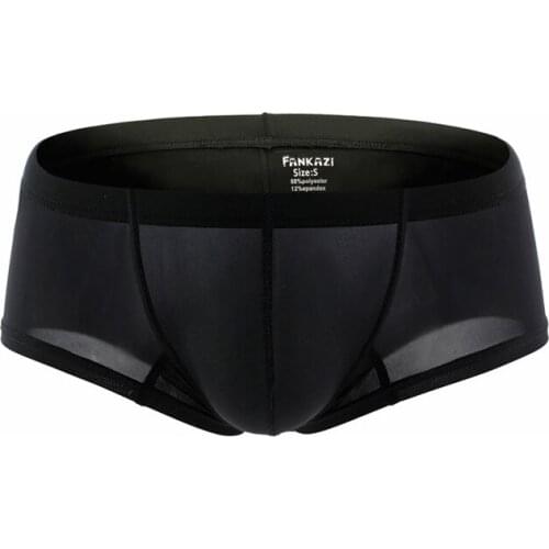 Men Boxer Shorts Sexy Underwear Ice Silk Male Panties Low Waist Cueca Masculina Hombre Slips Man Penis Pouch Small Boxers