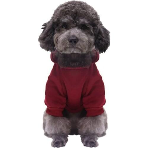 Winter Warm Cats Dog Clothes Plus Plush Hoodie with Pocket Cute Printing Sweater for Small Dogs Cats Chihuahua Pug