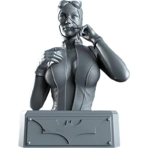 1/6 25cm 3D Garage Kit GK Model Black Cat Action Figure Print Toy White-film Unpainted CollectionsA110