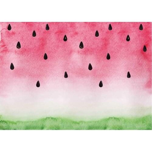 Peach Pink Watermelon Fruit Photography Background Holiday Celebration Party Decor Photo Booth Studio Prop