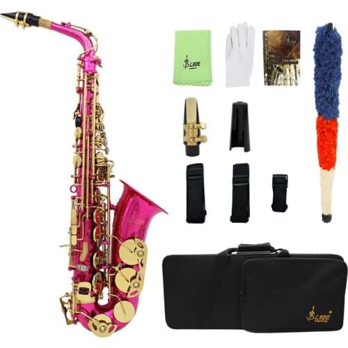Eb Alto Saxophone Brass Lacquered Gold E Flat Sax Instrument with Cleaning Brush Cloth Gloves
