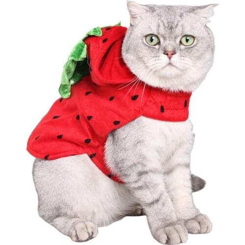 Fruit Strawberry Cat Costume Comfortable Pet Clothes Cat Sweater Hooded Pet Clothing Costume Animals Pet Costume for Cat