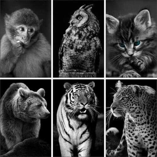 Huacan 5D DIY Full Square Diamond Painting Owl Cat Diamond Embroidery Mosaic Black And White Monkey Leopard Bear Animal Puzzle