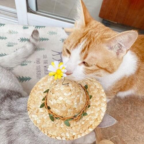 S/L Pet Straw Woven Hat Funny Cat Dog Sun Hat with Braids or Daisy Decoration for Pets Party Beach Photo Props Accessories