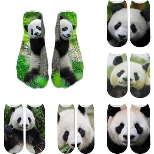 Cute Panda Printed Socks Short Animal Women Socks Terror Novelty Socks Fashion Low Cut New Design Ankle Socks 5ZWS69