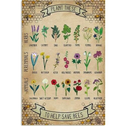 Tin Sign Plant These to Save Bees Fun World Education Science Classroom Infographic Tin Sign Great Retro Gifts and Decorative