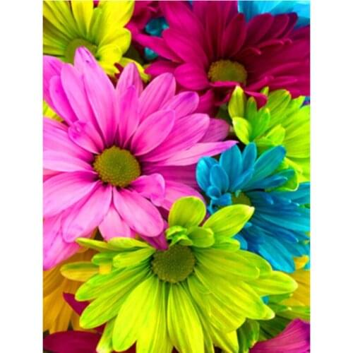 Painting By Number Digital 50x65CM Multicolored Flowers Flower Wall Art Gift DIY Pictures By Numbers Canvas Kits Home Decoration