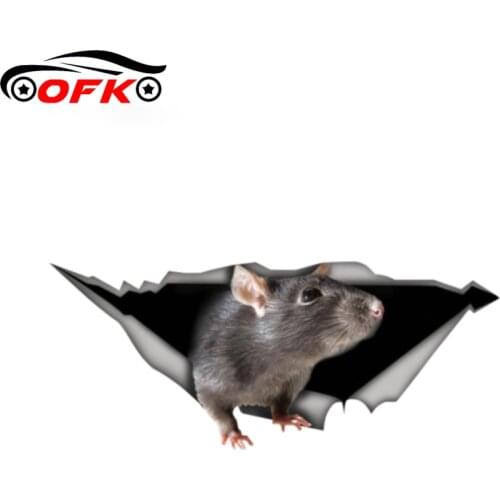 Funny Rat Decal Laptop 3D Pet Graphic Vinyl Window Bumper Car Stickers13cm X 5.1cm