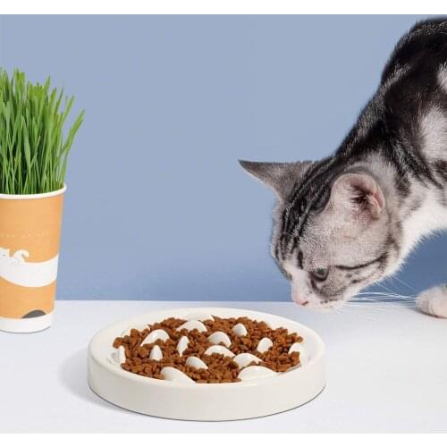 Feeding Cat Toys Interactive Prevent Choking Eat Slowly Toys for Cats Pets Food Feeding Bowl Lose Weight Pet Keep Healthy Toys