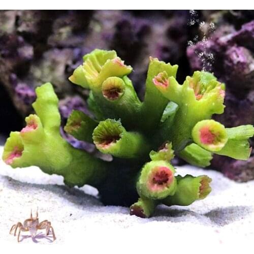 Fish Tank Decoration Resin Reef Simulated Coral Water Plants Aquarium Artistic Ornaments Toys for Fish Play