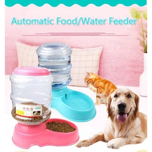Bowls For Dogs Bayppy China