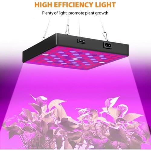 50/30W 169/81LED Quantum Board Red and Blue Plant Light Full Spectrum Aquarium Filling Light Planting Indoor Plant Growth Light