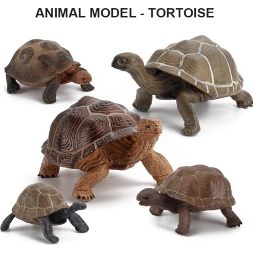 A New Simulation Model Of Animal Tortoise Children Science Cognition Furnishing Articles Toys Ornaments Childrens Toys