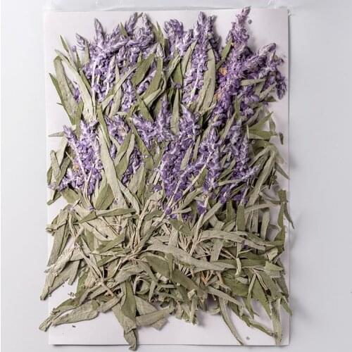 250pcs Pressed Dried Flower Salvia splendens var.atropurpu Herbarium Epoxy Jewelry Bookmark Phone Case Makeup Nail Art Craft DIY