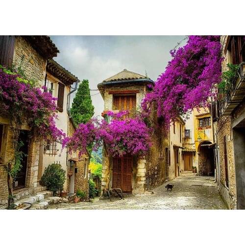 Town Old House Alley Scene Wedding Vinyl Cloth Photography Backgrounds Portrait Photographic Backdrops Photo Studio Photobooth