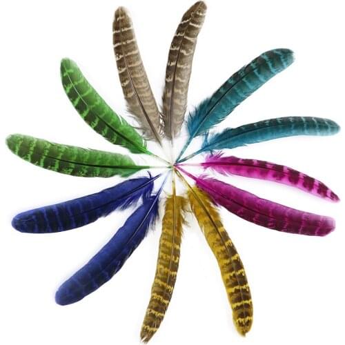 10-15CM Dyed Female pheasant Feathers Jewelry Accessories Party Decoration for Craft-Feather Plume wholesale 10Pcs/bag
