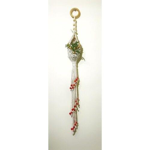 AnkaArt Natural Color Macrame Saksılıkta Sukulent & Cactus