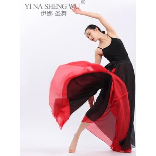 Adult Women Belly Dance Costume Bellydance Big Long Skirt Sexy Skirt Bellydancing Performance Nationality Dancewear For Women