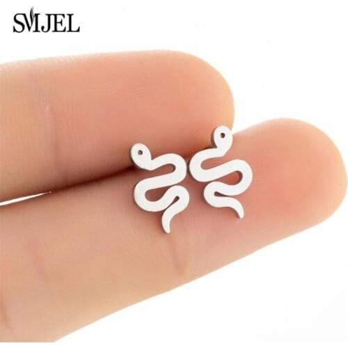 New Fashion Punk Style Twining Snake Shape Earrings For Women Stainless Steel Antique Animal Black Snake Jewelry Crazy Studs