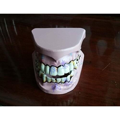 1:1,38*19*40cm smoking Teeth teaching model Oral appliance
