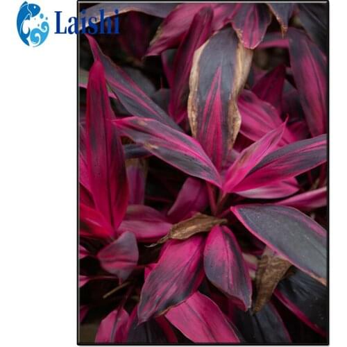 Tropical plant, cinnamon Diamond Painting Full Square/Round Drill Diamond Embroidery Cross Stitch Rhinestone Mosaic Home Decor