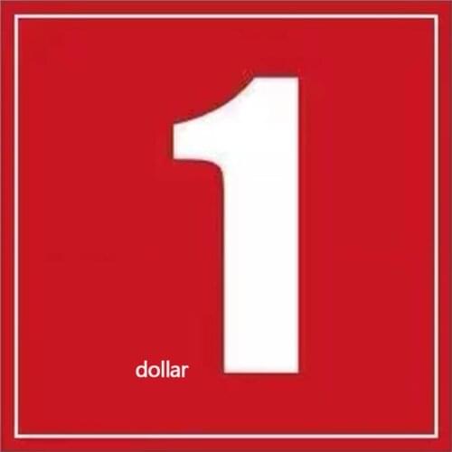 USD goods premium link freight premium link difference how much shoot how many copies