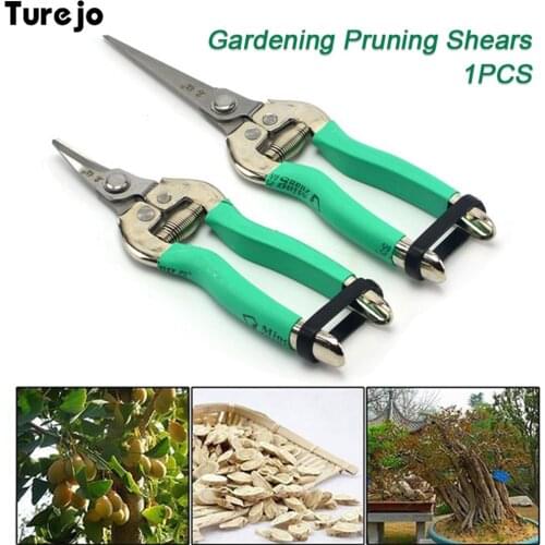 Scissors Professional Branch Cutter Secateur Pruning Plant Shears Fruit Tree Grafting Scissor Plant Garden Tool Shears Bent