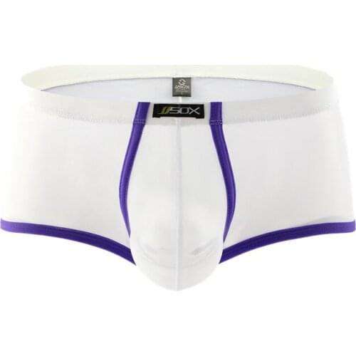 Male Underwear Boxers Low Waist Pouch Mesh See Through Mens Boxers Shorts Cuecas Transpanrent Underwear Fashion Mens Boxers