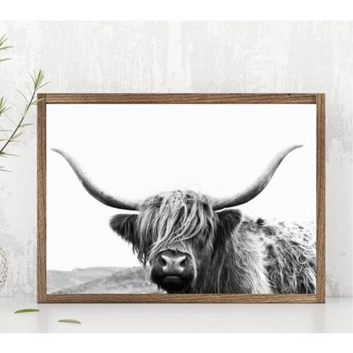 Highland Cow Canvas Art Print and Poster Farm Animal Highland Bull Photography Canvas Painting Picture Modern Wall Art Decor