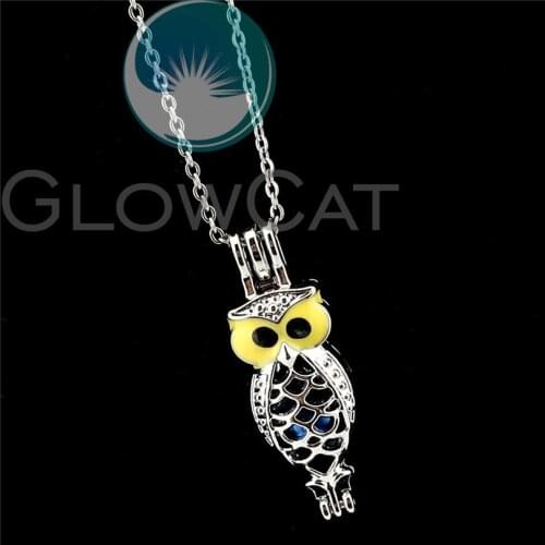 R-K998 Colors Enamel Owl Beads Cage Pendant Essential Oil Diffuser Pearl Cage Locket Necklace