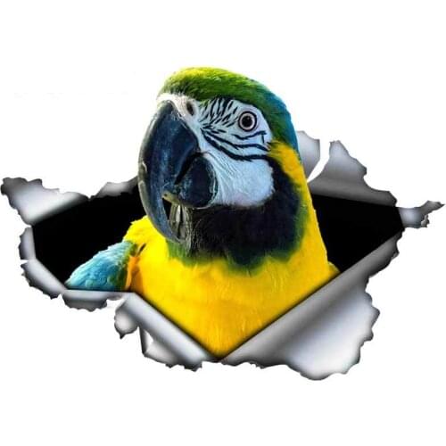 Personality Torn PVC Parrots Car Sticker Graffiti Decal Car Styling Waterproof Windows Suitable Apply To Car Window Laptop