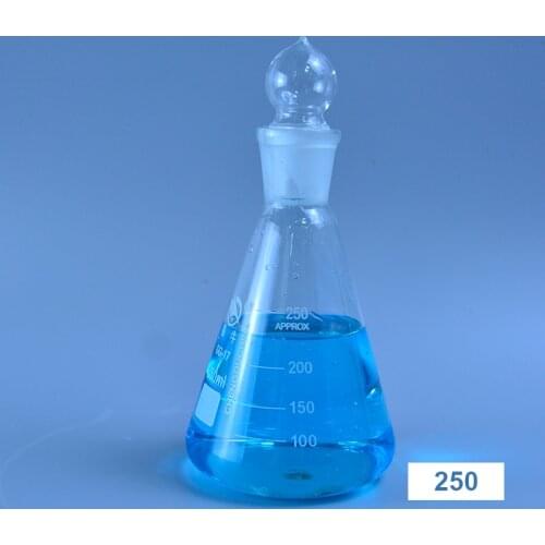 DXY 250ml Glass conical flask with cap Glass Erlenmeyer Flask glass for laboratory triangle flask Boro 3.3 glass