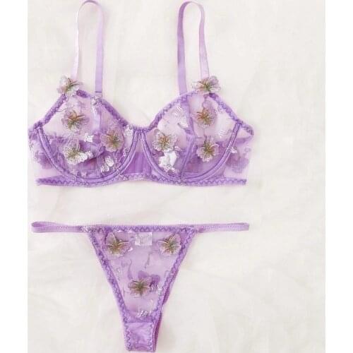 Butterfly Embroidery Sexy Erotic Bra Perspective Lace Mesh Lingerie Underwear for Women Bralette Costumes Thong Bra Sets