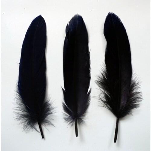 Wholesale 1000Pcs Black DIY Natural Plumes Goose Feathers For DIY Crafts Christmas Cosplay Decoration Clothing Shoes Accessories