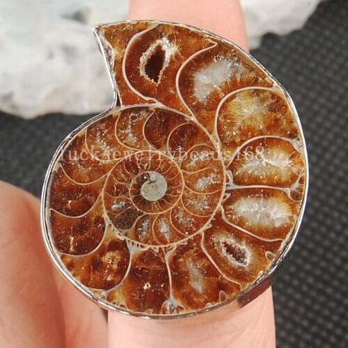 Free Shipping Fashion Jewelry Natural Ammonite Beads Ring Adjust size 7~12" (us) C3581